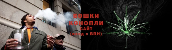 сатива Костерёво